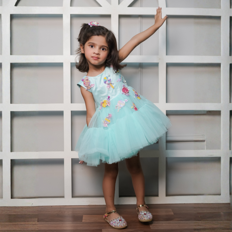 Net Dress With Handmade Embroidered Candy