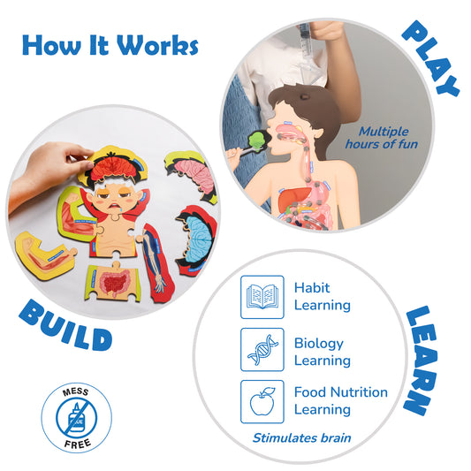 Smartivity Food Body & Nutrition STEM Toy for Kids 6+