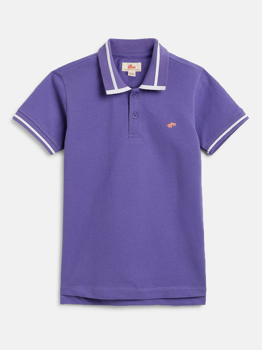 The Classic Little Polo for Boys in Purple