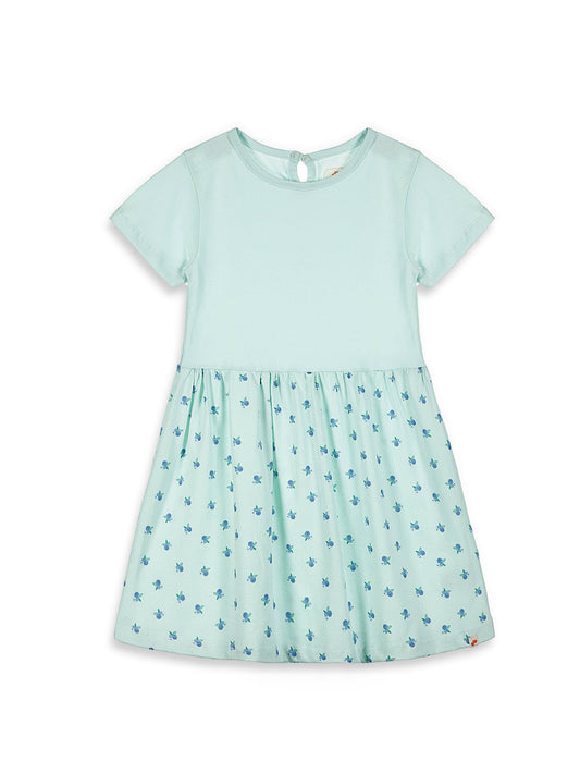 Fruity Fun Super Soft Dress for Girls (Blue)