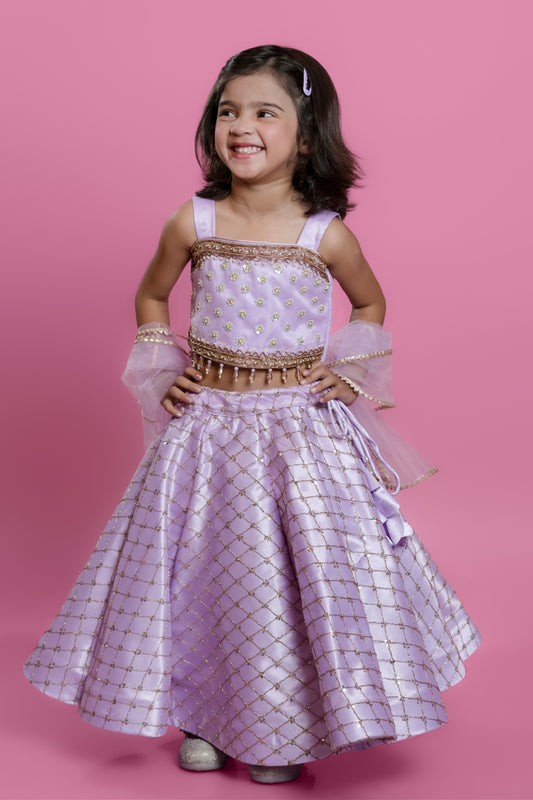 Organza Embellished Lehenga