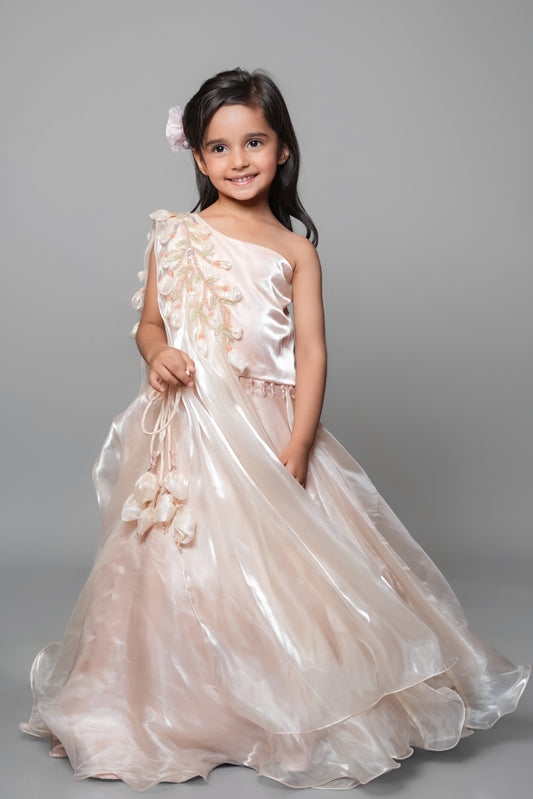 Peach Lehenga Set With Embroidery And Handmade Flower Embellishment
