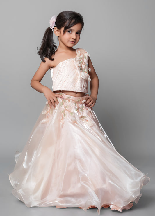 Lehenga Set With Embroidery And Handmade Flower Embellishment