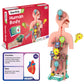 Smartivity Germ Buster STEM Toy for Kids 6+