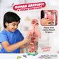 Smartivity Germ Buster STEM Toy for Kids 6+