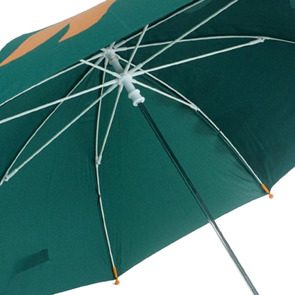 Fire Dino Big Face Umbrella for Kids, 5Years-10Years