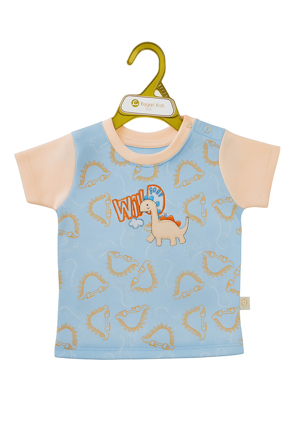 Wild Roar Dino Organic Tee & Spike Jogger Set