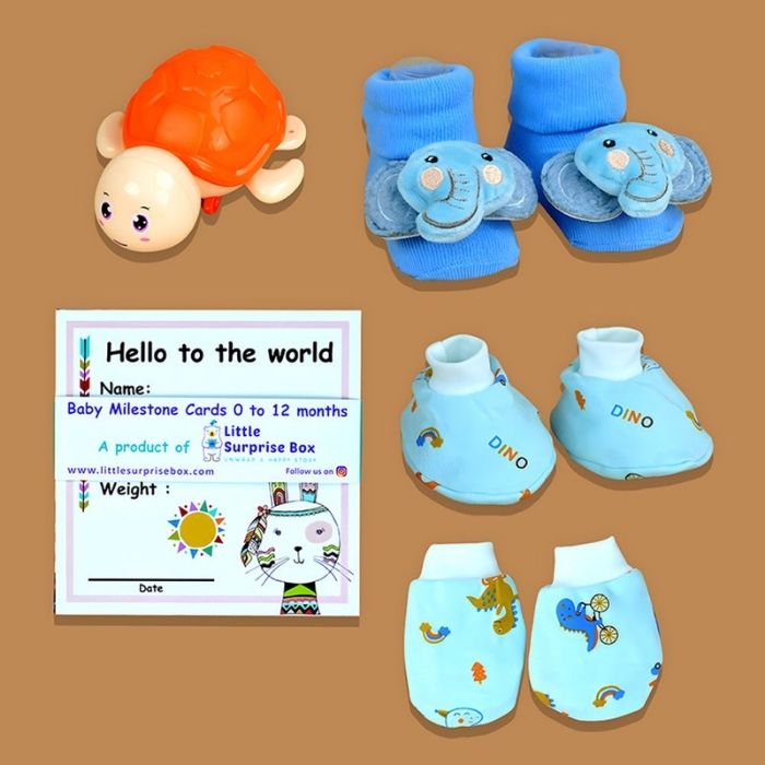 Blue Joy Newborn Hamper 0-12 Months