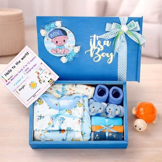 Blue Joy Newborn Hamper 0-12 Months