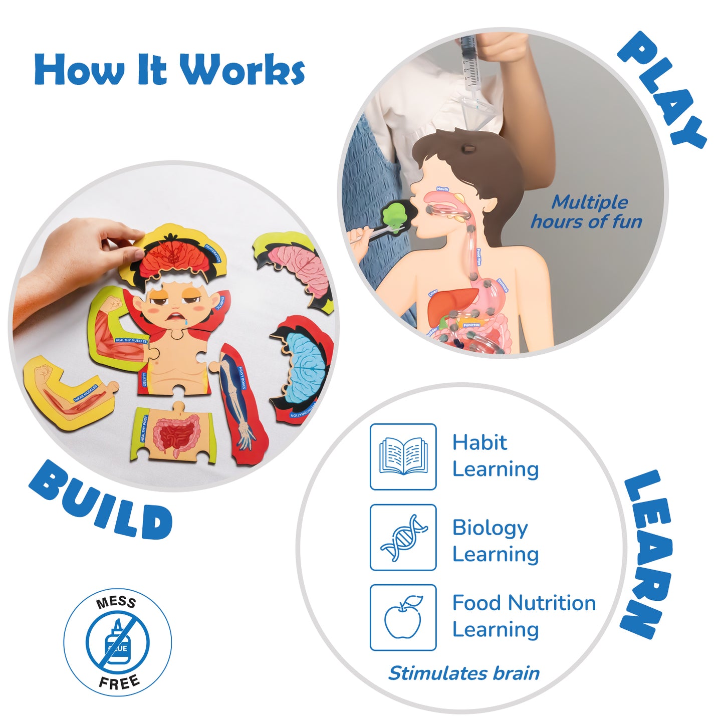 Smartivity Food Body & Nutrition STEM Toy for Kids 6+