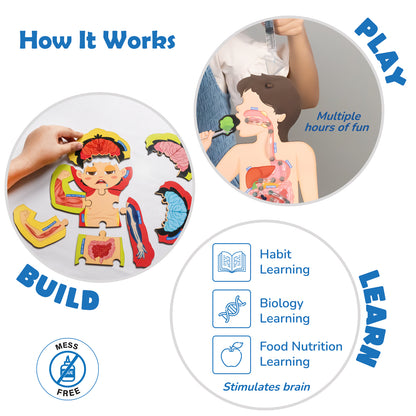 Smartivity Food Body & Nutrition STEM Toy for Kids 6+