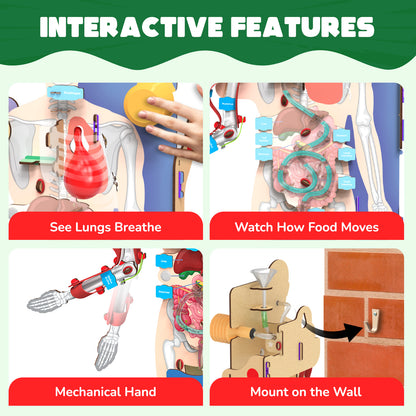 Smartivity Interactive Human Body STEM Toy for Kids 8+