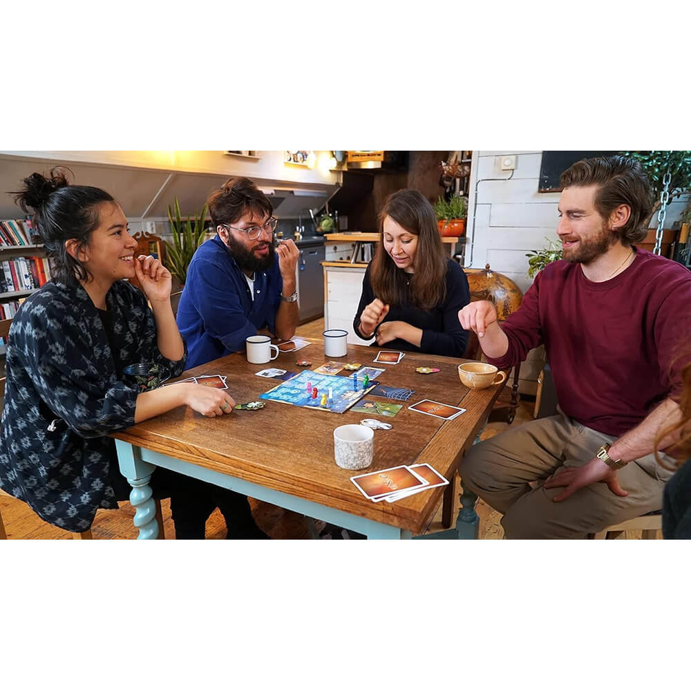 Dixit Game for kids