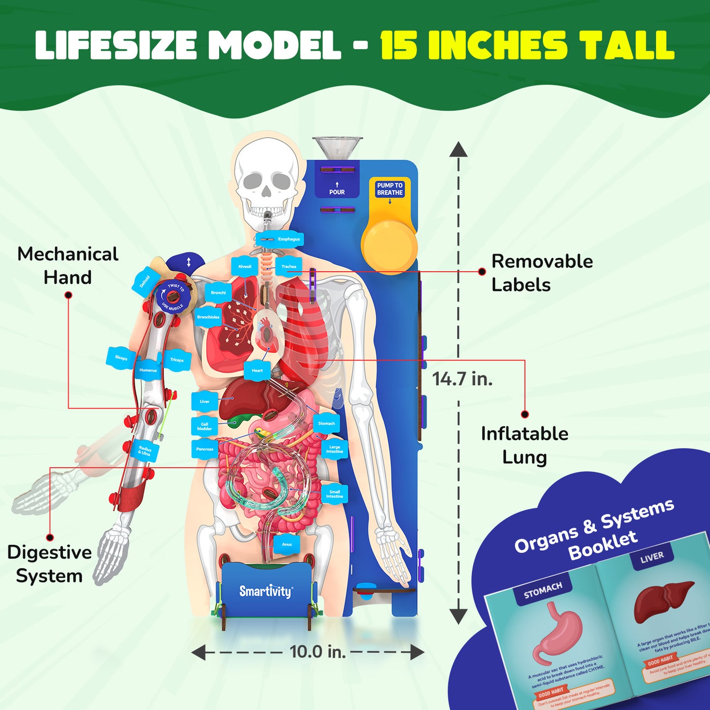 Smartivity Interactive Human Body STEM Toy for Kids 8+