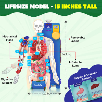 Smartivity Interactive Human Body STEM Toy for Kids 8+