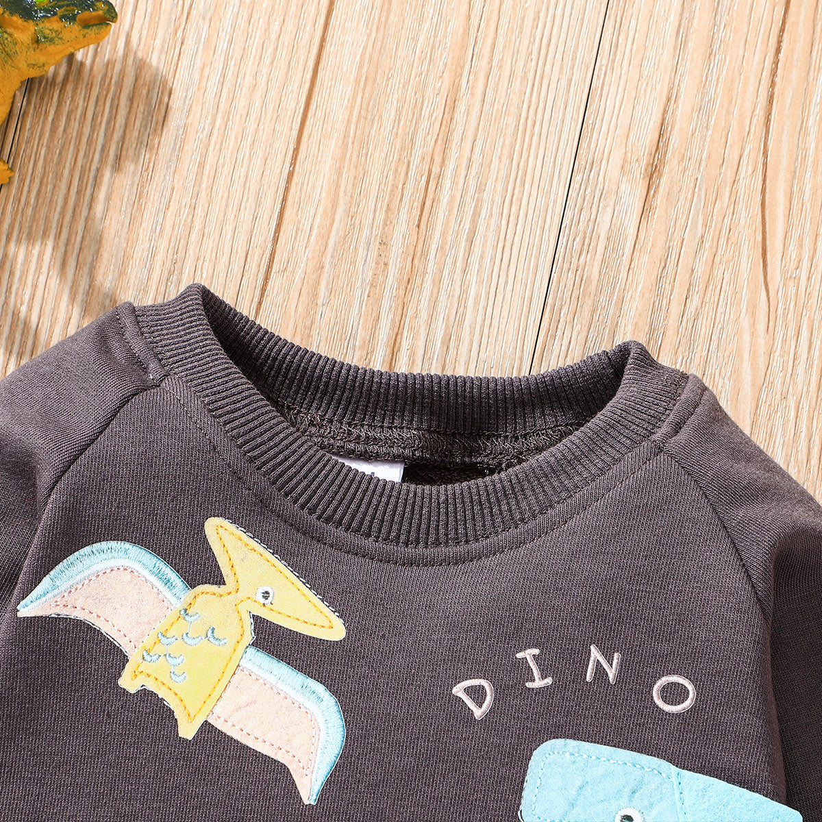 Baby boy dinosaur printed cotton sweatshirt and pant set Multicolor for kids