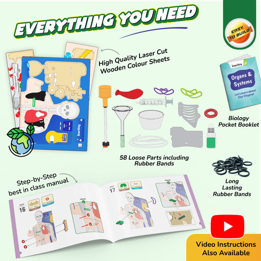 Smartivity Interactive Human Body STEM Toy for Kids 8+