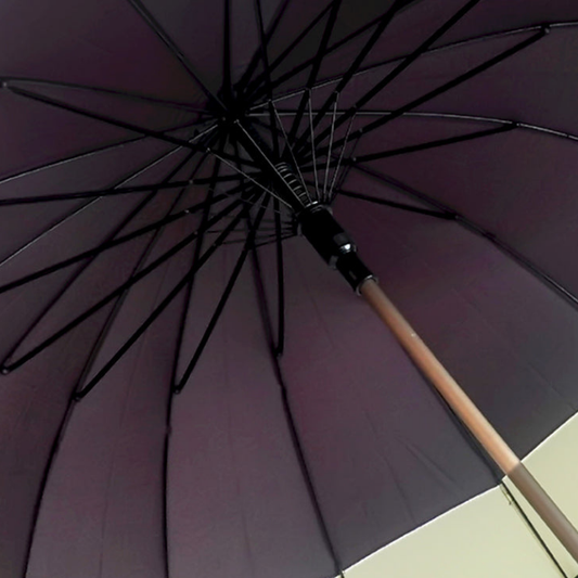 Chocolate Brown with Cream Border Large Canopy Size Umbrella for Adults