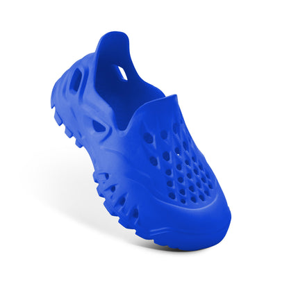 #color_royalblue
