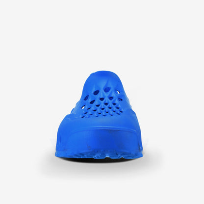 #color_royalblue