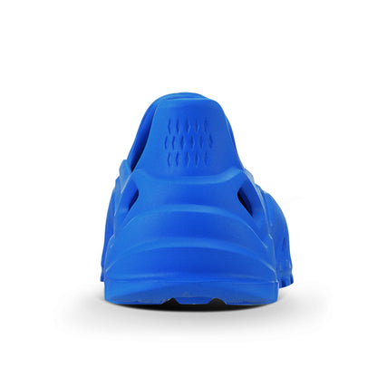 #color_royalblue