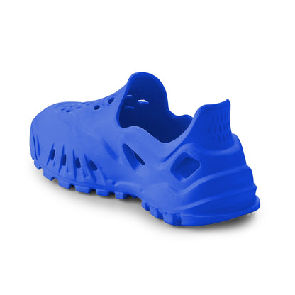 #color_royalblue