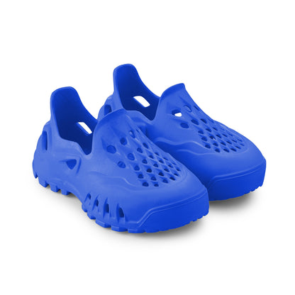 #color_royalblue