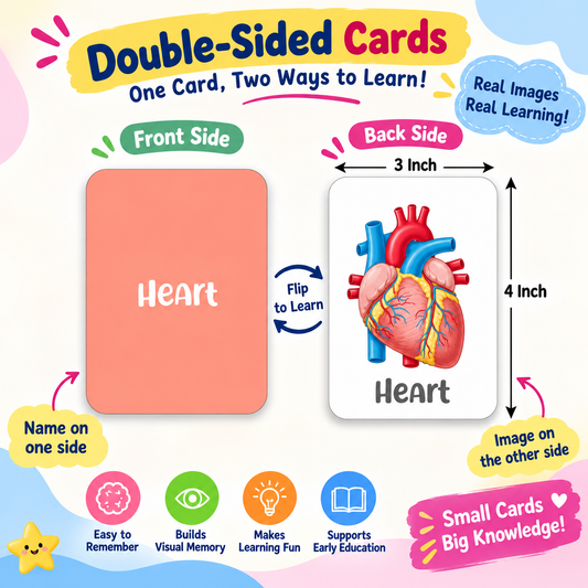 iLearnNGrow Baby’s First Body Parts Flash Cards – Educational Learning Flashcard Set for Kids