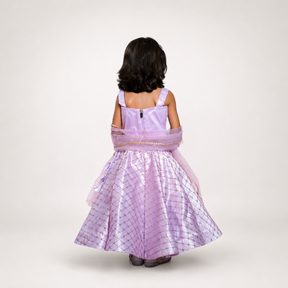 Organza Embellished Lehenga