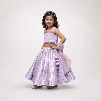 Organza Embellished Lehenga