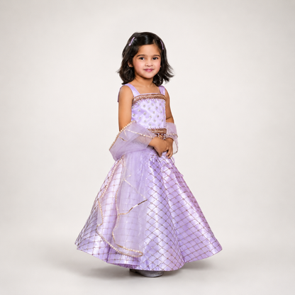 Organza Embellished Lehenga