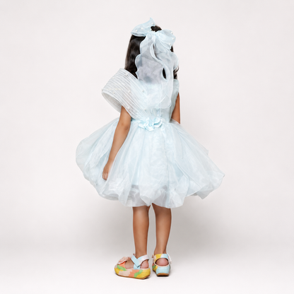 Tissue Dress Embellished With Handmade Flowers And Beads