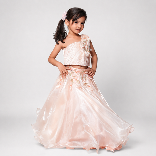 Lehenga Set With Embroidery And Handmade Flower Embellishment