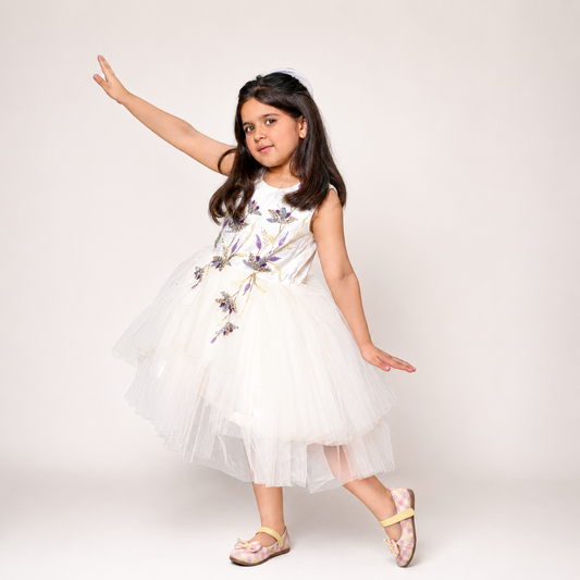 Net Flared Dress With Hand Embroidery