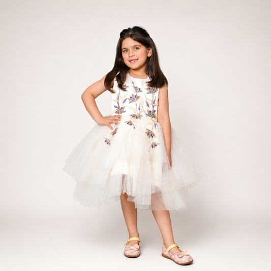 Net Flared Dress With Hand Embroidery