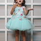 Net Dress With Handmade Embroidered Candy