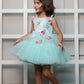 Net Dress With Handmade Embroidered Candy