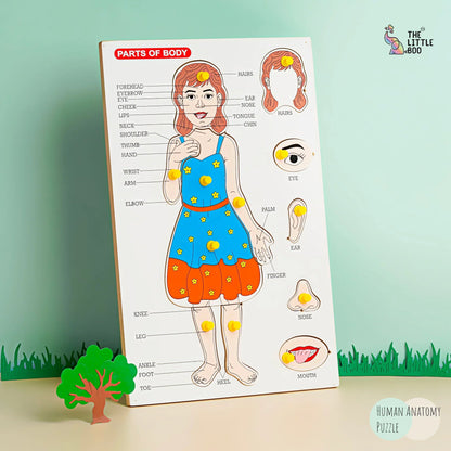 Body Part Puzzle Puzzle