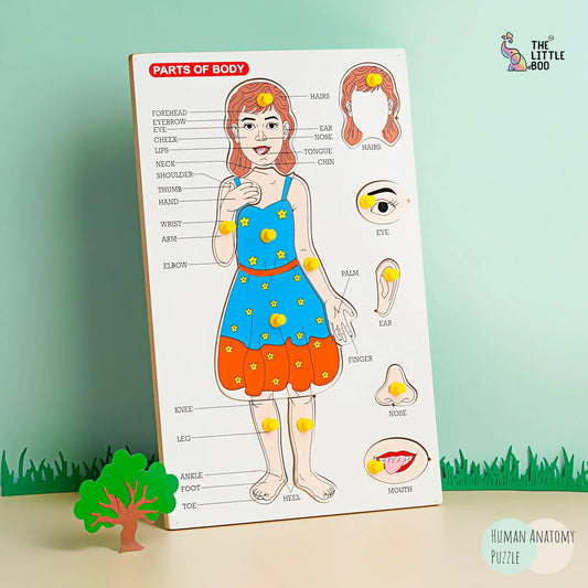 Body Part Puzzle Puzzle