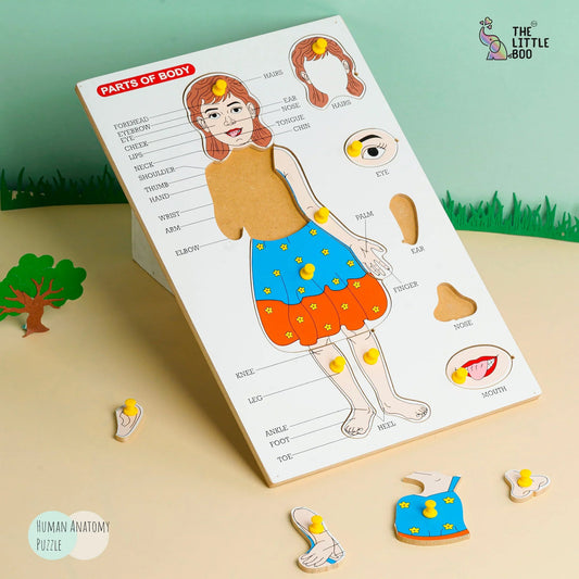 Body Part Puzzle Puzzle