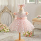 Party Wear Butterfly Frock With Head Gear for kids
