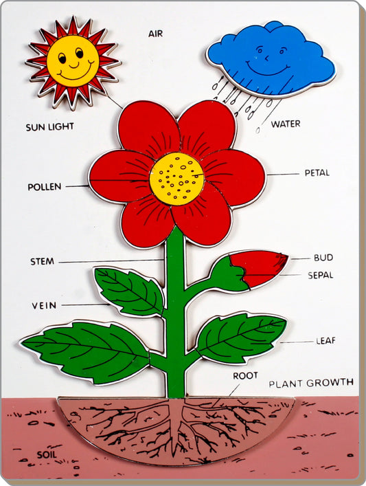 Wooden Educational Plant Growth Puzzle Puzzle
