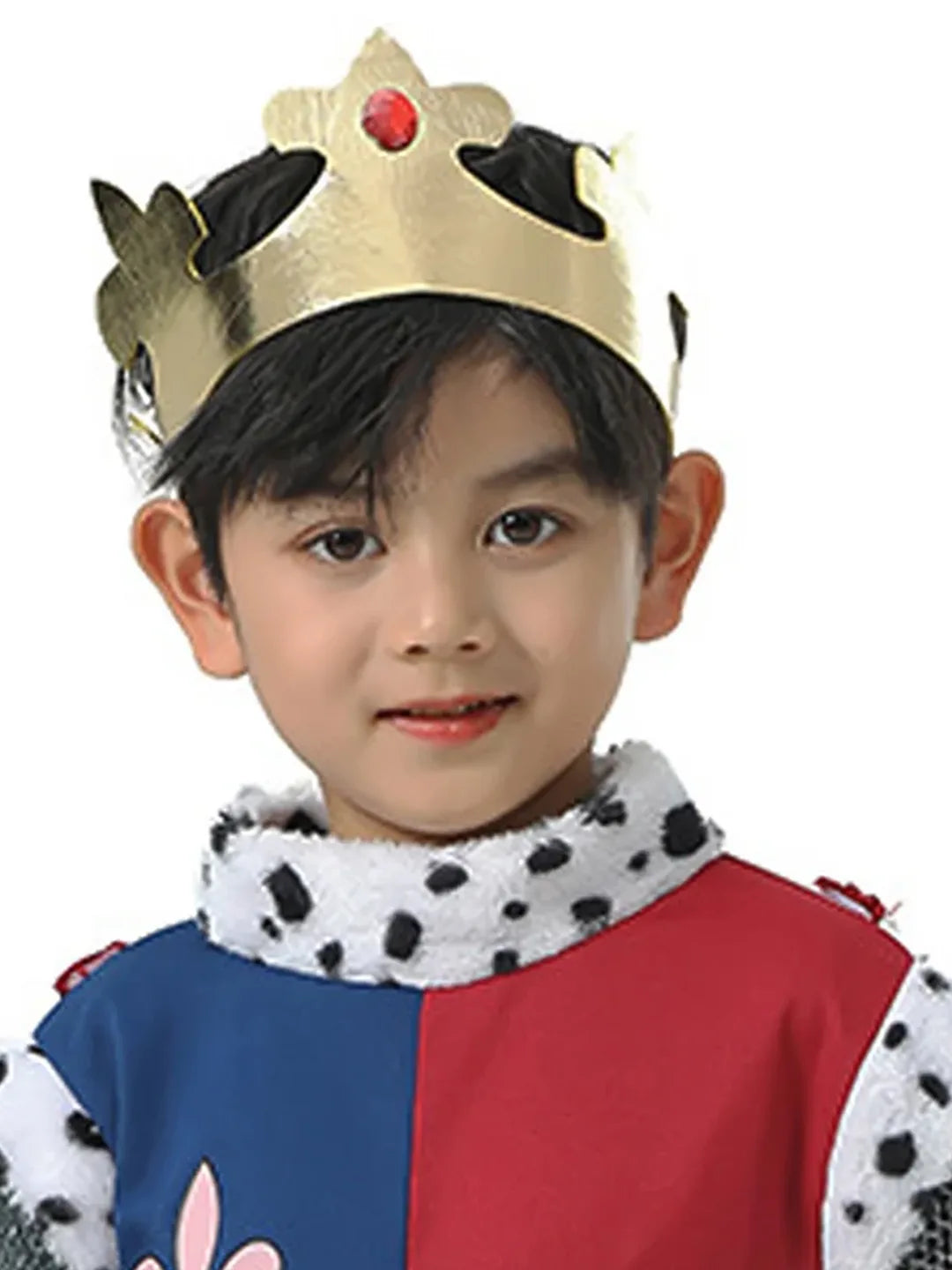 Medieval King Costume kids' Halloween costume