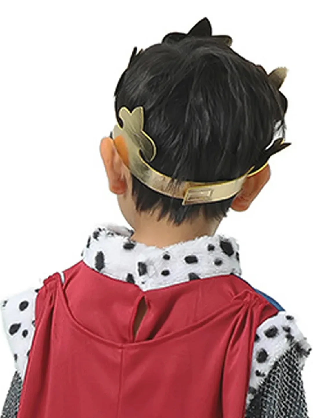 Medieval King Costume kids' Halloween costume