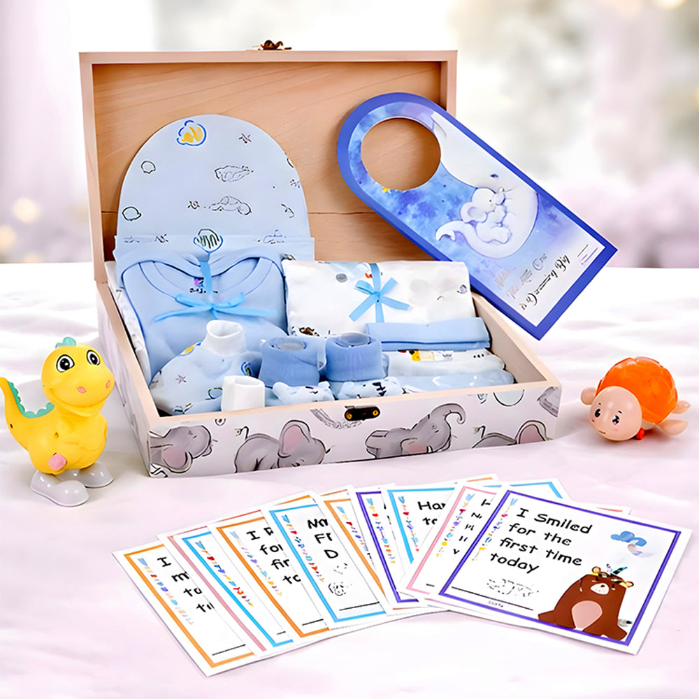 Little Prince Baby Boy Gift Hamper (0-12months) - Little Surprise Box