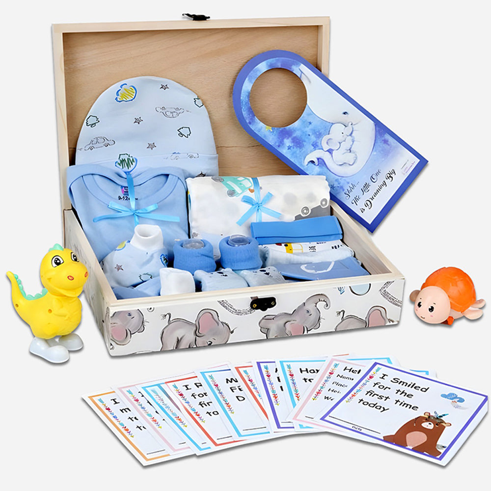 Little Prince Baby Boy Gift Hamper (0-12months) - Little Surprise Box