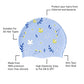 Blue Small Flower Print Swimming Cap for Kids and Adults, 10 years and above. - Little Surprise Box