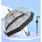 Self Print Black Transparent Umbrella for Kids and Teens, 8Years - 15Years - Little Surprise Box