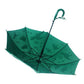 Dino theme Color Changing Magic Umbrella for Kids,5Years - 10Years - Little Surprise Box