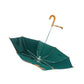 Fire Dino Big Face Umbrella for Kids, 5Years-10Years - Little Surprise Box